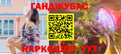 гашик Краснознаменск